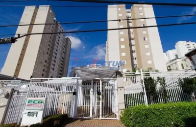 Apartamento com 3 quartos para alugar na rua hermantino coelho, 691, mansões santo antônio, campinas, 70 m2 por r$ 3.100