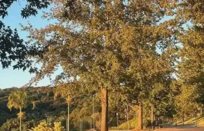 Lote/terreno à venda no condomínio quinta da baroneza em bragança paulista - sp