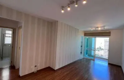 Apartamento para aluguel no condomínio residencial privilege residence no cambuí - campinas - sp
