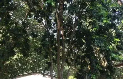 Chácara para venda no chácaras carolinas em itu - sp.