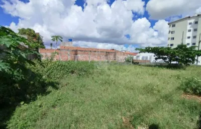 Terreno para aluguel no bairro são braz , nossa senhora do socorro