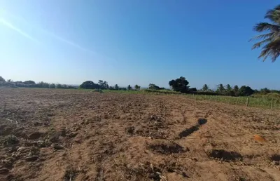 Excelente sítio a venda no povoado serra em itabaiana/se