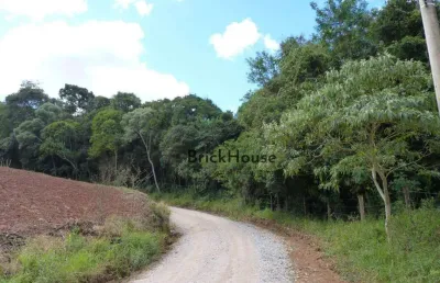Terreno à venda, 16850 m² por r$ 750.000,00 - centro (canguera) - são roque/sp