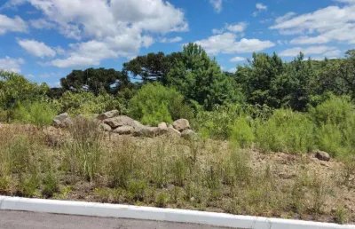 Terreno à venda no bairro moura com 450 m² de área privativa