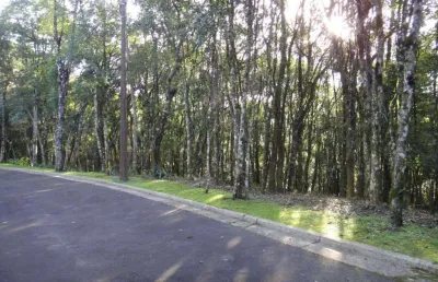 Terreno à venda no bairro vila nova de gaia com 800 m² de área privativa