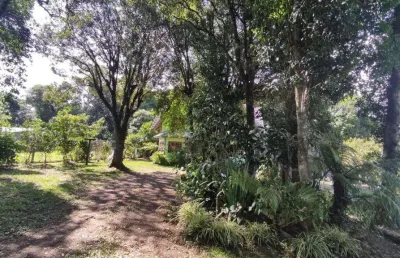 Terreno comercial à venda na Rua Nova Palma, 241, Carniel, Gramado