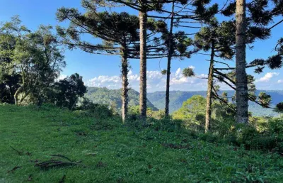 Area de terra à venda no bairro três pinheiros com 16500 m² de área privativa