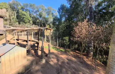 Oportunidade de chácara em bocaiúva do sul – pr 10.000m²