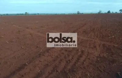 Fazenda à venda no Centro, Água Clara 