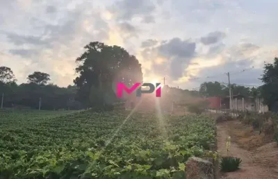 Vende-se chácara entre itupeva e indaiatuba , com nascente de agua e plantação de uva