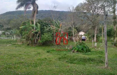 Sítio à venda, 39000 m² por r$ 4.300.000,00 - ratones - florianópolis/sc