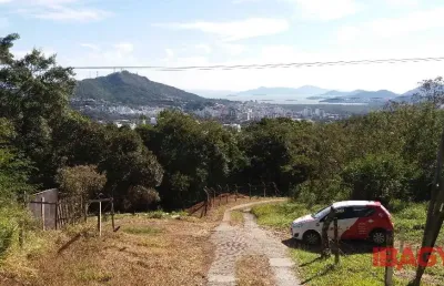 Terreno comercial para alugar na Rua Vereador Frederico Veras, 63, Pantanal, Florianópolis