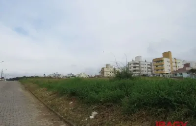 Terreno comercial para alugar na Rua Maria de Lurdes Vieira de Oliveira, 95, Areias, São José