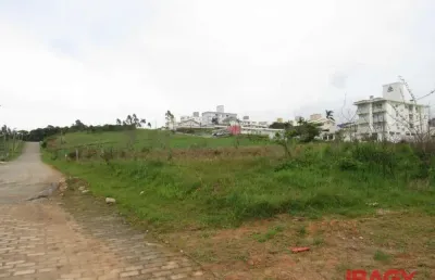 Terreno comercial para alugar na Rua Maria de Lurdes Vieira de Oliveira, 53, Areias, São José