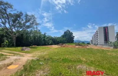 Terreno comercial para alugar na Rodovia BR-101, 100, Praia de Fora, Palhoça