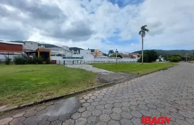 Oportunidade! terreno em santa mônica - florianópolis
