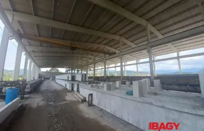 Barracão / Galpão / Depósito para alugar na Alice Cabral, 78, Areias, Paulo Lopes