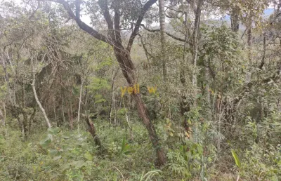 Chácara / sítio com 3 quartos à venda no São Domingos, Santa Isabel 