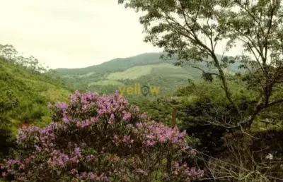 Chácara em bairro da pedra branca - santa isabel com 200m², 3 dormitórios e 3 banheiros por r$380.000 - venda .