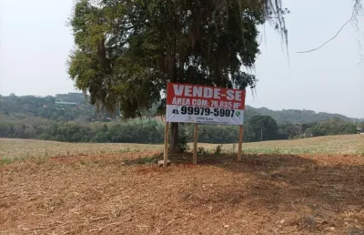 Terreno à venda na Estrada do Cerne, Centro, Campo Magro