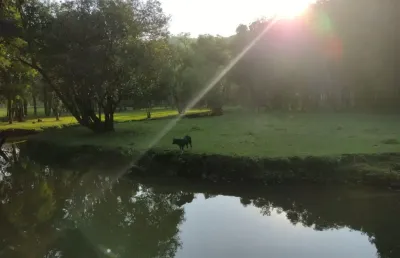 Chácara / sítio com 3 quartos à venda na Estrada do Cerne, Centro, Campo Magro