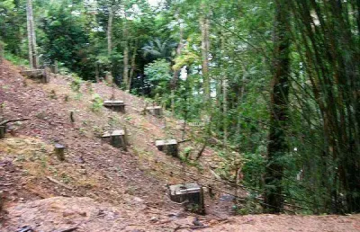 Terreno à venda, 1625 m² por r$ 8.000.000,00 - taguaiba - guarujá/sp