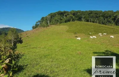 Fazenda à venda, 202000 m² por r$ 980.000,00 - serra - iporanga/sp