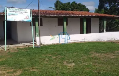 Fazenda / granja / chácara / viveiro de tilápia  / açude