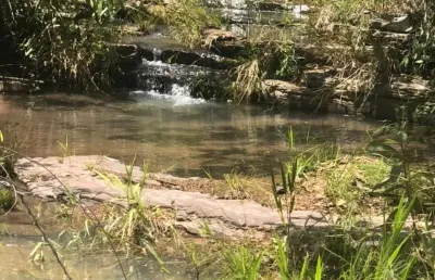 Fazenda com 1 sala à venda na Fazenda Canabrava, Zona Rural, Flores de Goiás