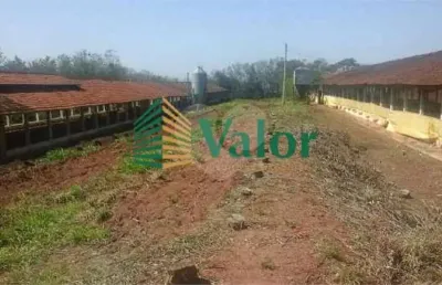 Sítio estrada são carlos ribeirão - próximo são carlos