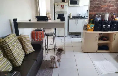 Apartamento com 1 quarto à venda na Rua Doutor Serafim Vieira de Almeida, 795, Jardim Paraíso, São Carlos