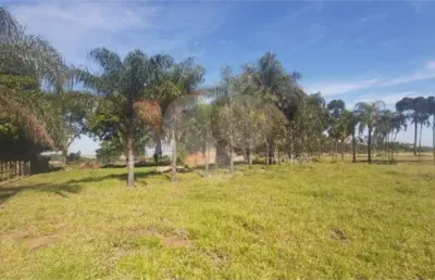Chácara / sítio à venda na Avenida Clemente Talarico, 10, Jardim Embaré, São Carlos