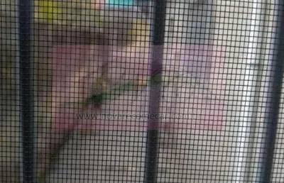Casa para venda em suzano, jardim casa branca, 2 dormitórios, 1 banheiro, 1 vaga
