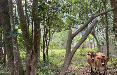 Chácara para venda em ribeirão pires, somma, 3 dormitórios, 4 banheiros, 4 vagas