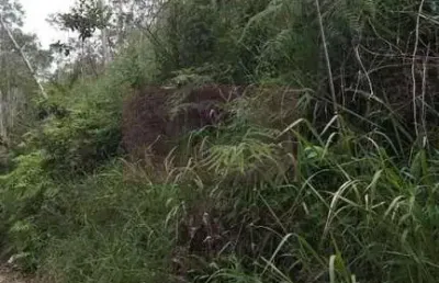 Terreno à venda no Clube dos Oficiais, Suzano 