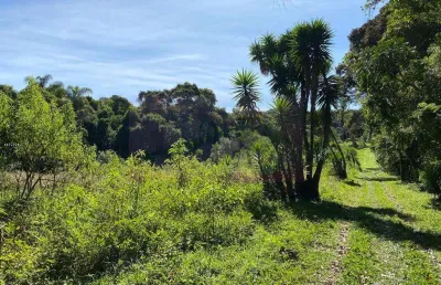Sítio para venda em mogi das cruzes, quatinga, 2 dormitórios, 2 banheiros