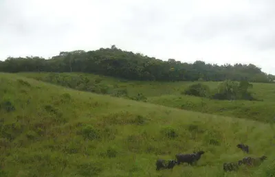 Terreno à venda no Parque Santa Rosa, Suzano 