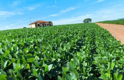 Fazenda para venda em são sebastião do paraíso, ,,,