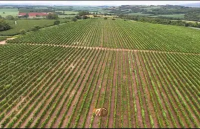 Fazenda à venda no Centro, São José da Barra 
