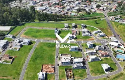 Terreno à venda na Anita Garibaldi- ÓRfãs - Ponta Grossa - Pr;, Orfãs, Ponta Grossa