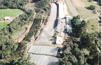 Casa comercial à venda no Centro, Piraí do Sul 