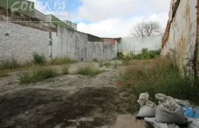 Terreno para locação - vila metalúrgica, santo andré
