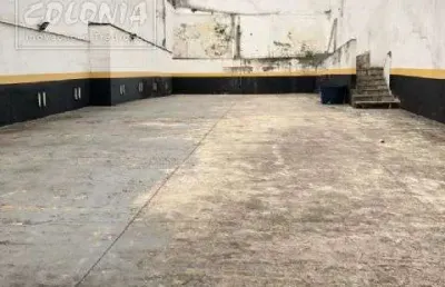 Terreno para venda ou locação - parque da vila prudente, são paulo