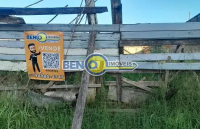 Ótimo terreno para investidor a 200 metros da 020 próximo de escola e da upa  24hs