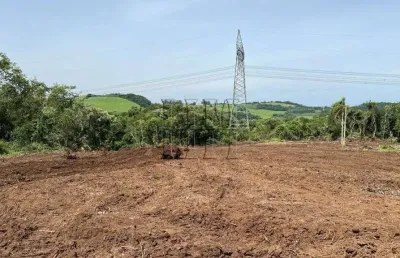 Chácara / sítio à venda na Linha Jacinto, 1, São Luiz, Farroupilha