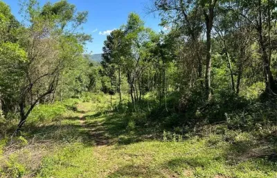 Chácara / sítio à venda na Distrito Linha Marcondes, 1, Carazal, Gramado