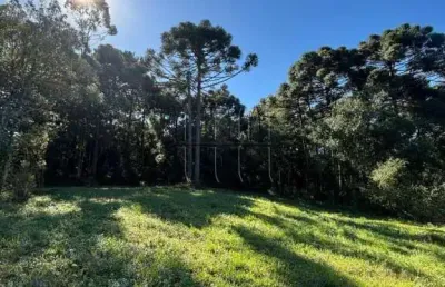 Casa  quartos no loteamento vila olímpia - fazenda souza