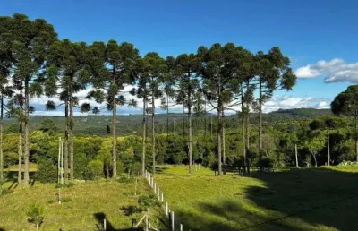 Chácara / sítio com 3 quartos à venda na Ismael José Rangel, 1, Ana Rech, Caxias do Sul