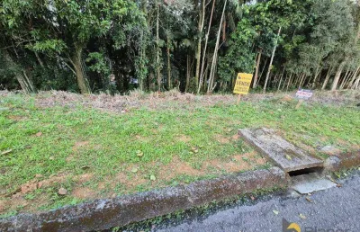 Terreno à venda, 765 m² por r$ 550.000,00 - velha - blumenau/sc