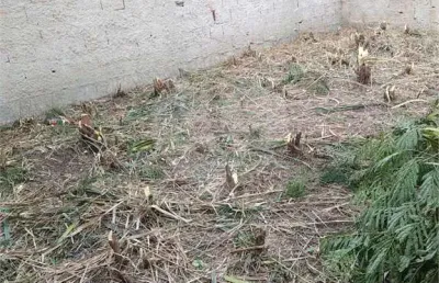 Terreno à venda na Serra Alta, Campo Grande, Rio de Janeiro